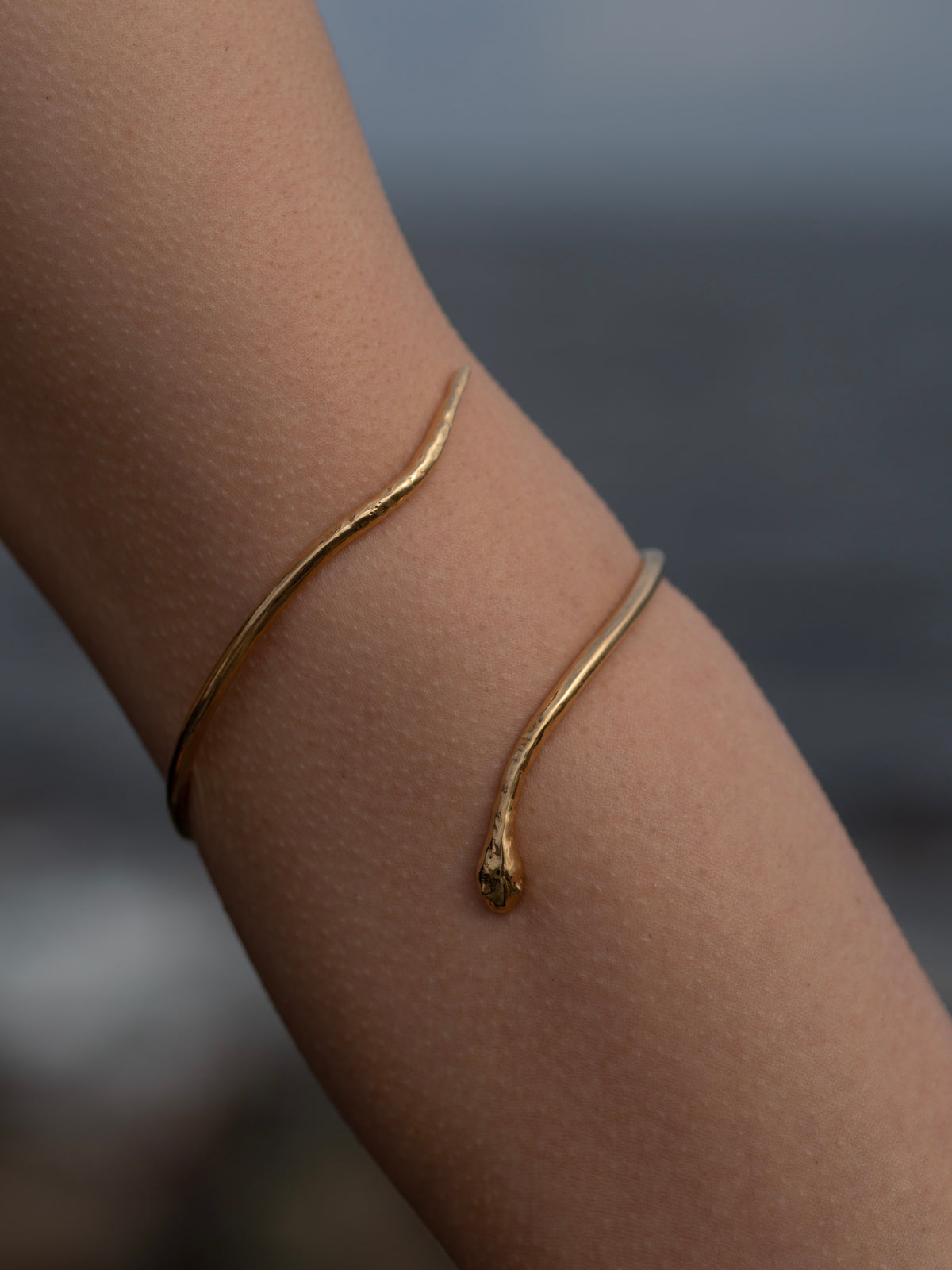 20200531_GAGAN_OUROBOROS__GOLD 